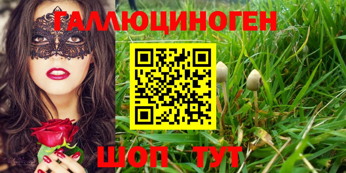 Псилоцибиновые грибы Cubensis  Вход с VPN  Галлюциногенные грибы Psilocybine cubensis  Саки 